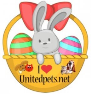unitedpets.net easter basket